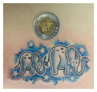 Фото и значение татуировки " Слон ". X_f7e7e941